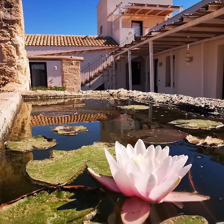 Casa Vacanze Senia Del Rais ฟาวีญานา ภายนอก รูปภาพ
