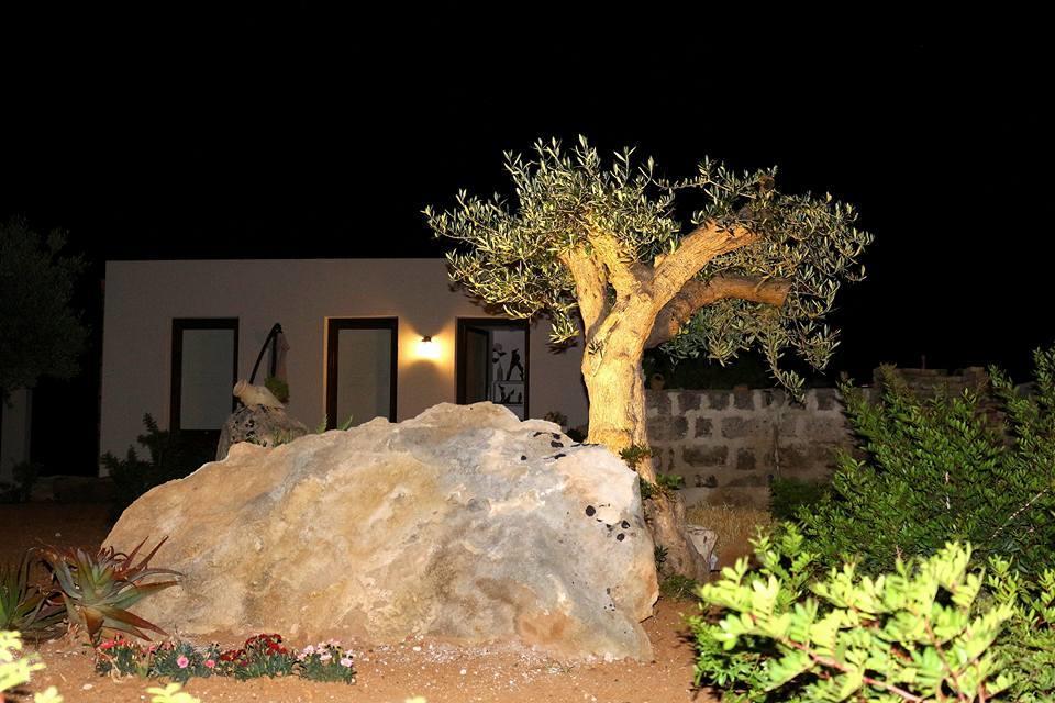 Casa Vacanze Senia Del Rais ฟาวีญานา ภายนอก รูปภาพ